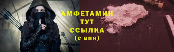 твердый Дмитровск